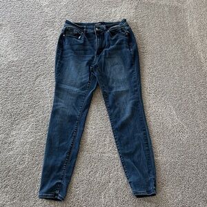 Judy Blue Dark Wash Skinny Jeans